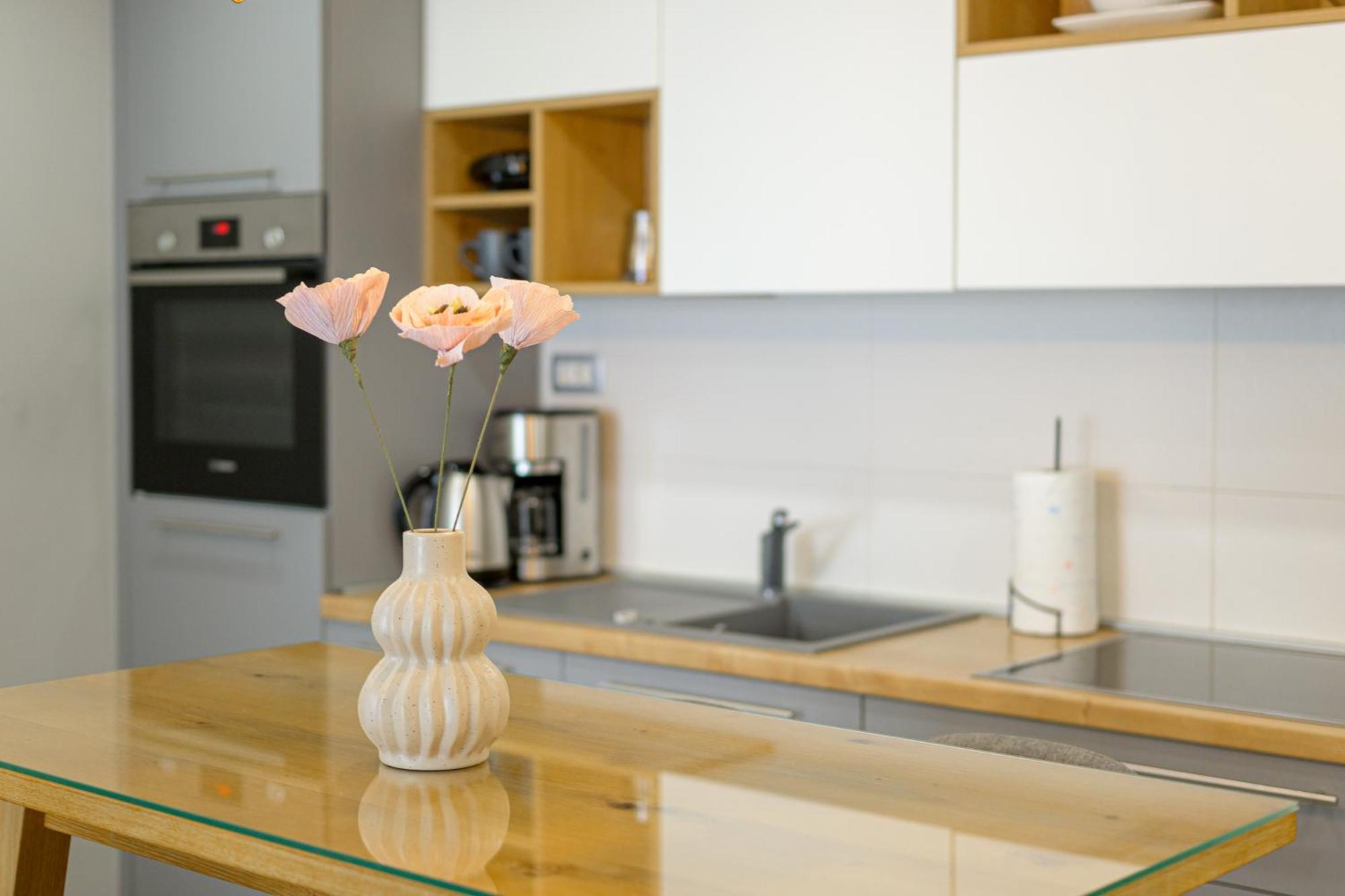 Lavanda Maslina - New Luxury Apartments Πούλα Εξωτερικό φωτογραφία