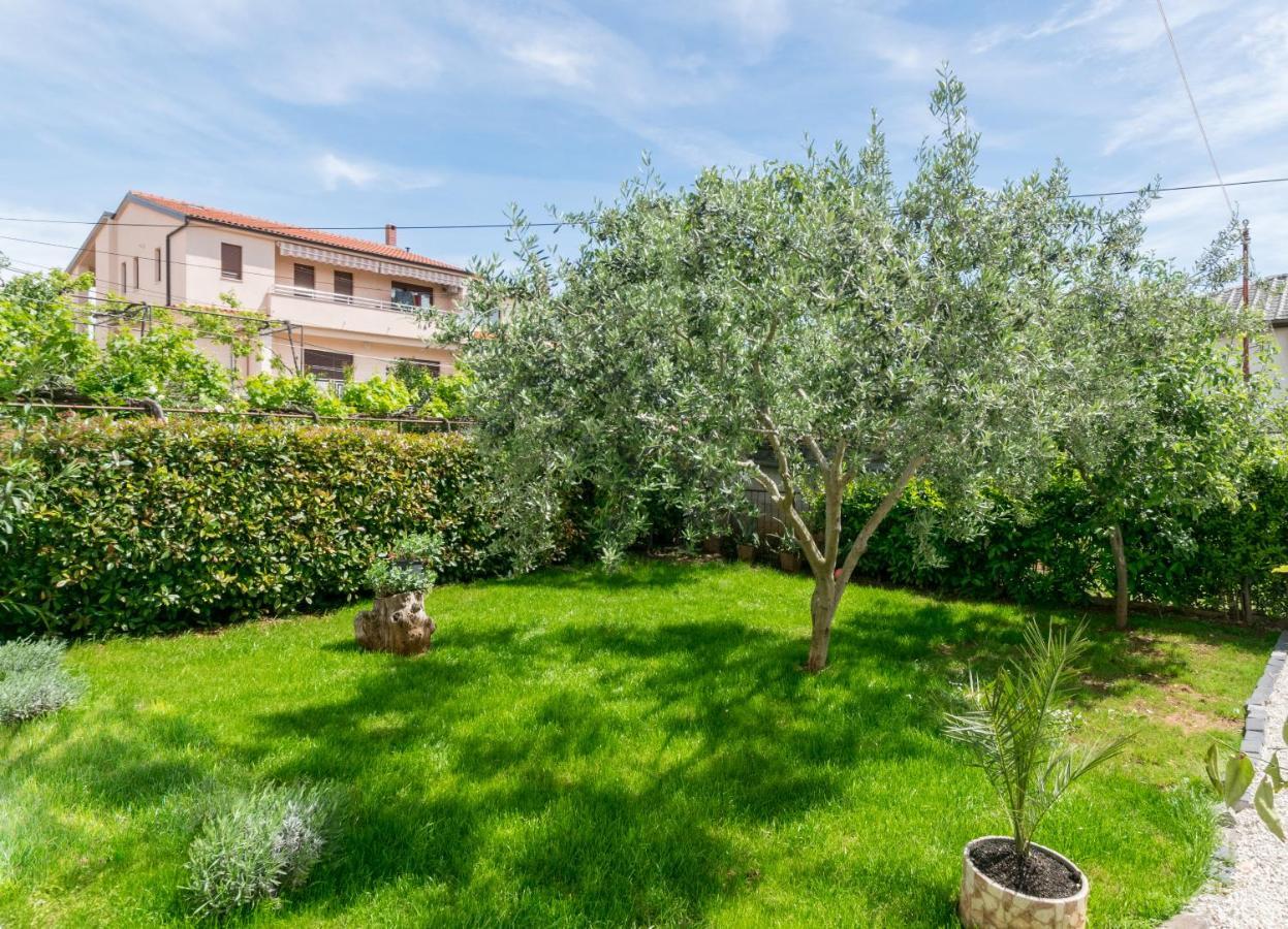 Lavanda Maslina - New Luxury Apartments Πούλα Εξωτερικό φωτογραφία